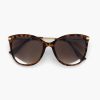 Online Exclusive Accessories | Graceland Brown Sunglasses With Leopard Print