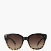 Online Exclusive Accessories | Graceland Brown Sunglasses